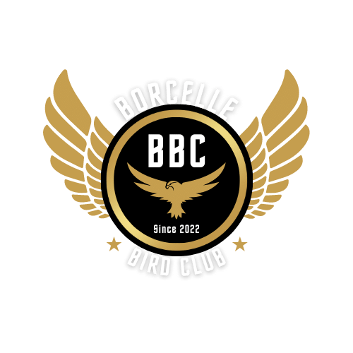 Borcelle bird club logo